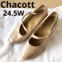 チャコット⭐️スタンダードシューズ