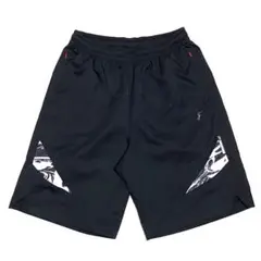 インザペイント ハーフパンツ バスケットボール