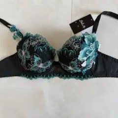☆ワコール サルート D65☆42G