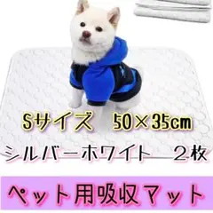 Item thumbnail for item 9a38f9b8-c377-4975-8d9e-bbd7b6f59651