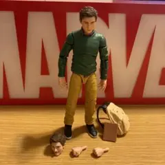 マーベルレジェンド ピーターパーカー スパイダーマン