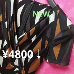 ☘️98点40号【限定♥】クードシャンス　半袖ワンピース　茶黒白　¥4800↓
