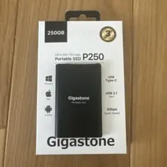 【フォーマット済】ポータブルSSD 250GB ケーブルなし