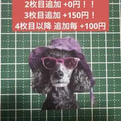 Item thumbnail for item 80a4cdac-74e1-4466-b165-9b558ef05024