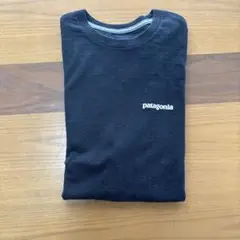patagonia Mサイズ Tシャツ
