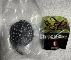 有毒危険動物大全II ポルカドットスティングレイ