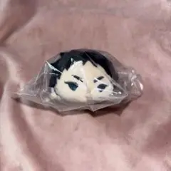 ハイキュー もちマスミニ 赤葦