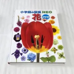小学館の図鑑　NEO　花　DVD付　ネオ