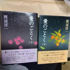 愛のごとく 上下巻 セット ハードカバー 渡辺淳一