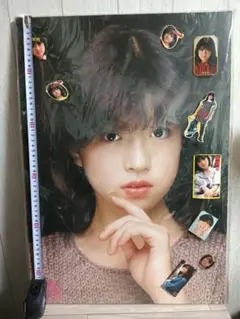 中森明菜　ポスター　希少品　パネル 中森明菜 木製パネルポスター 希少｜Yahoo!フリマ（旧PayPayフリマ）