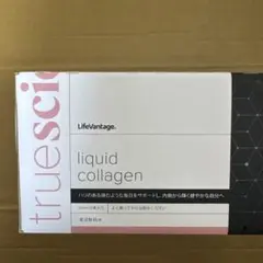 Item thumbnail for item 2f7af7f8-a8e9-4aa6-adff-e70c75192dc0