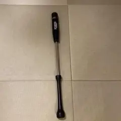 Item thumbnail for item 53de6a22-e8ef-4c1b-bec7-d540c11bed4d