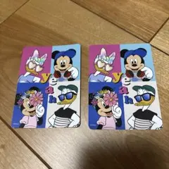 ディズニーストア　カード2枚セット