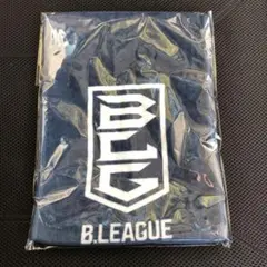 新品 非売品 Bリーグ インフロニア キャレたん コラボタオル B.LEAGUE