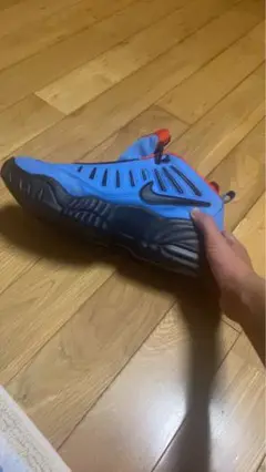 ナイキくつ