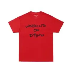 WORKING ON DYING SPELLOUTCRACK T-SHIRT