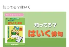 DVD NiKK映像　知ってる？はいく