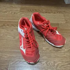 Item thumbnail for item 3d73fc3b-4c59-435c-b431-524768da117c