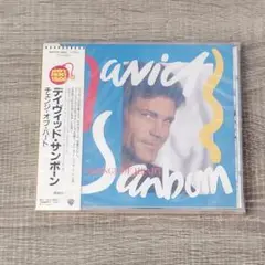 【音楽】 未開封 David Sanborn Change of Heart