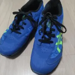 (25cm）ASICS 青 メッシュ シューズ
