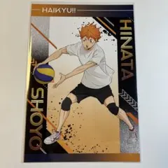 ハイキュー 日向翔陽 ポストカード特典