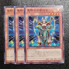 2913 聖騎士の盾持ち 3枚セット