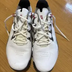 2025年最新】タイガーウッズモデル ゴルフシューズ nikeの人気