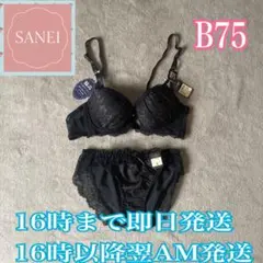 SANEI サンエイ ブラジャー&ショーツセット　ブラ&ショーツ　上下セット