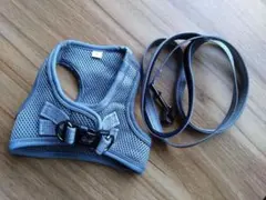 Item thumbnail for item 1d21d019-0a0d-4873-983e-881f619b2910