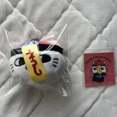ナガノキャラクターズ もっちるフェイスマスコット キョンシー ステッカー セット