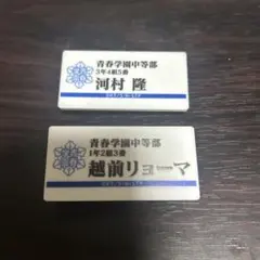 テニプリ展 ネームプレートバッジコレクション 越前リョーマ 河村隆 青学