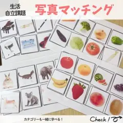 写真マッチング4シート 自立課題 特別支援 療育教材 モンテッソーリ 保育 知育
