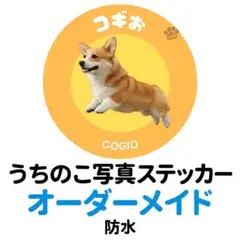 Item thumbnail for item cc4f6b0c-6dff-4786-97f2-dbed2aaaf48e