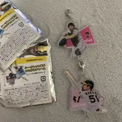HANSIN Tigers シークレット選手キーホルダー