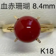 K18イエローゴールド 血赤珊瑚リング 8.4mm サイズ12.5号 さんご