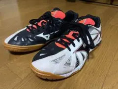 Item thumbnail for item de0759fd-028e-4aa6-8bc8-a2780373c9f9