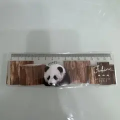 Item thumbnail for item b6fd80f9-47cd-4cb5-b3ce-3fa9f2781e23