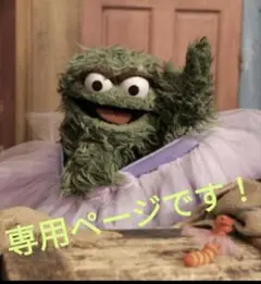 専用ページ