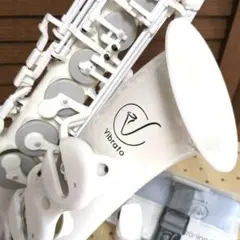 2025年最新】Vibrato SAXの人気アイテム - メルカリ