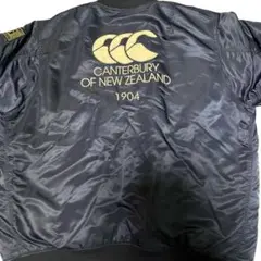 Item thumbnail for item 69ebef7c-5a75-4005-8bd4-61326784a993