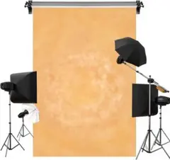 Item thumbnail for item 483b0e5e-8501-4833-9d85-625de1e6c9a4