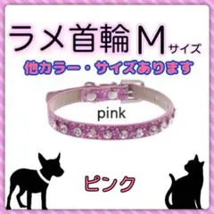 Item thumbnail for item bd52ee5e-3ee2-4859-9695-c411656a4c77