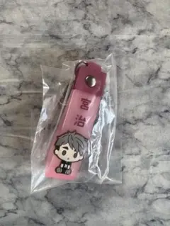 ハイキュー　一番くじ　ぽこっとチャーム
