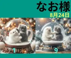 専用