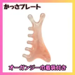 Item thumbnail for item 7cb6025e-e038-489a-b69e-9f7dbab7e178