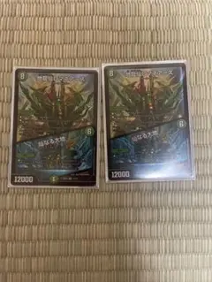 ロマネアース 2枚セット