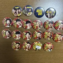 宇都宮BREX 缶バッジ20個セットコンプリート