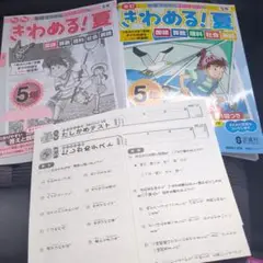 25新品未使用♥正進社　きわめる！夏　5年生　たしかめテスト付