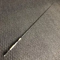 カレイドレジーノスティングレイ66 TKDC-66MLBF-Pro