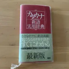 カタカナ新語実用辞典